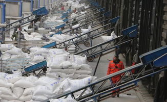 發展集團內部運輸市場 價值、機遇與策略